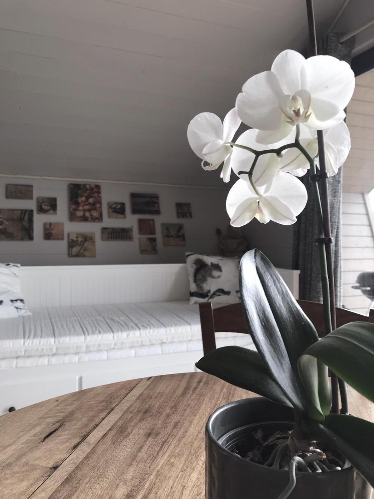 Готель Domaine La Bonne Etoile Beausemblant Номер фото